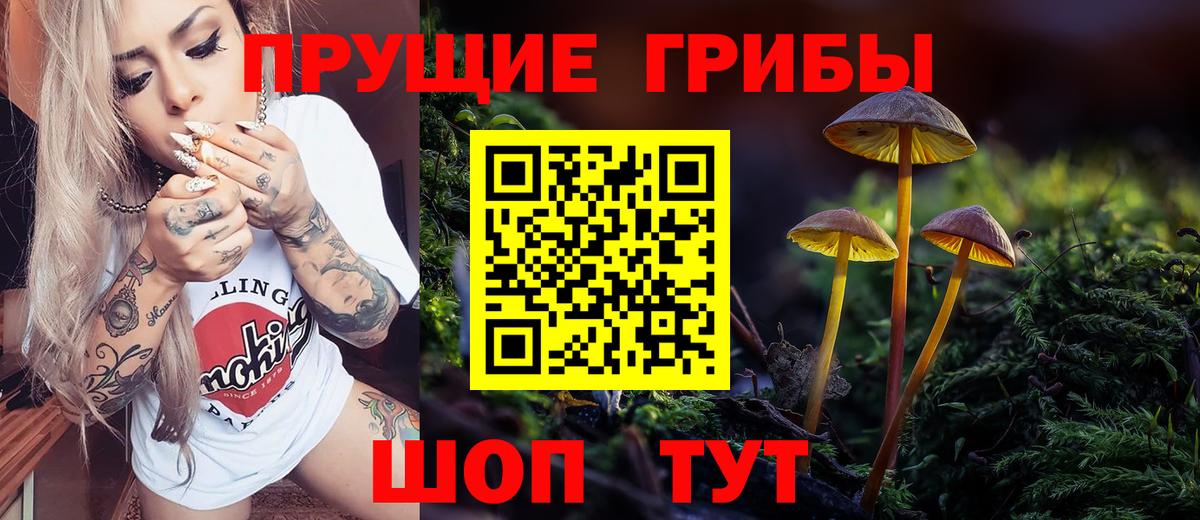 Гатчина  хочу   Вход с VPN  Псилоцибиновые грибы ЛСД 